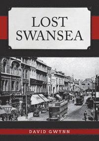 bokomslag Lost Swansea