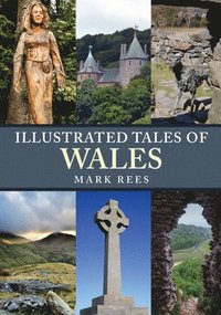 bokomslag Illustrated Tales of Wales