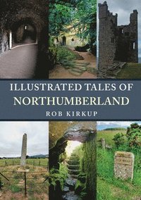 bokomslag Illustrated Tales of Northumberland