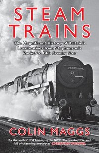 bokomslag Steam Trains
