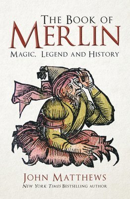 bokomslag The Book of Merlin