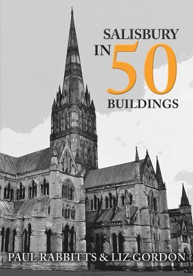 bokomslag Salisbury in 50 Buildings