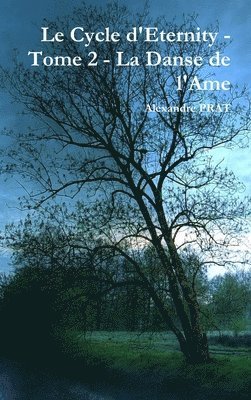 Alexandre Prat, Alexandre PRAT - Cycle d'Eternity - Tome 2 - La Danse de l'Ame, Inbunden