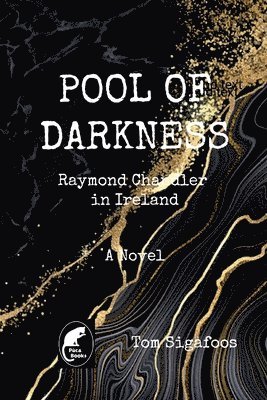 bokomslag Pool of Darkness - Raymond Chandler in Ireland