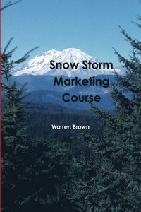 bokomslag Snow Storm Marketing Course