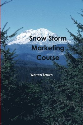 Snow Storm Marketing Course 1