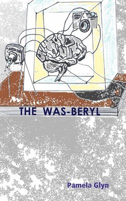 bokomslag The Was-Beryl