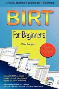 bokomslag BIRT for Beginners