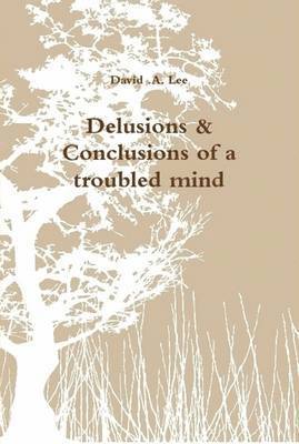 bokomslag Delusions & Conclusions of a troubled mind