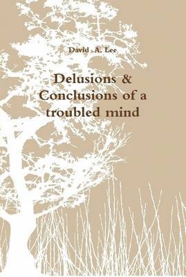 David A Lee, David A. Lee - Delusions & Conclusions of a troubled mind, Inbunden
