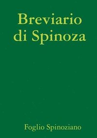 bokomslag Breviario di Spinoza