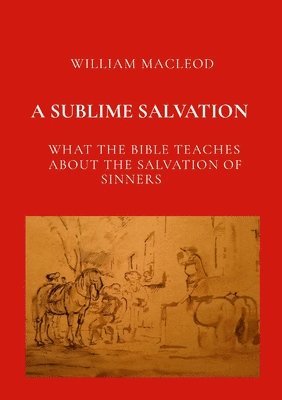 bokomslag Sublime Salvation