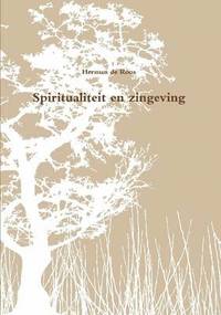 bokomslag Spiritualiteit En Zingeving