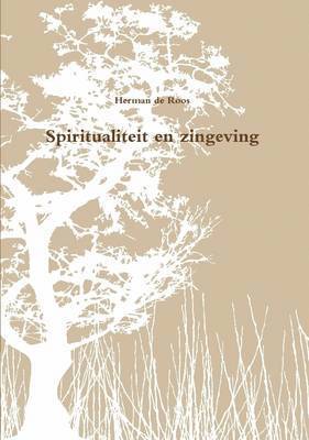 bokomslag Spiritualiteit En Zingeving