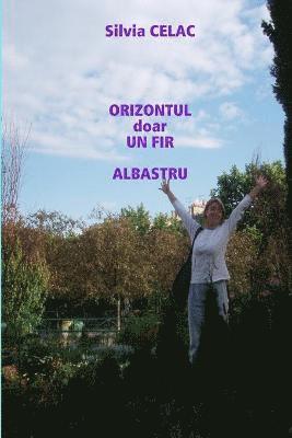 bokomslag Orizontul Doar Un Fir Albastru