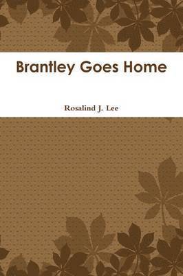 bokomslag Brantley Goes Home