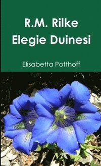 bokomslag Rainer Maria Rilke - Elegie Duinesi