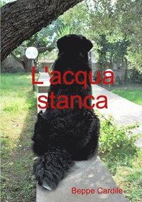 bokomslag L'acqua Stanca