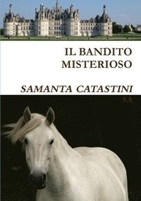 bokomslag Bandito Misterioso