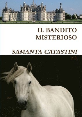 Bandito Misterioso 1