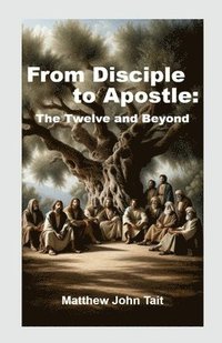 bokomslag From Disciple to Apostle