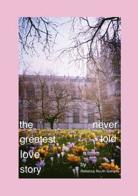 bokomslag Greatest Love Story Never Told