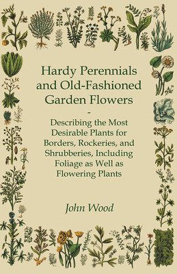 bokomslag Hardy Perennials And Old-Fashioned Garden Flowers - Describing The Most Desirable Plants For Borders, Rockeries, And Shrubberies, Including Foliage As Well As Flowering Plants