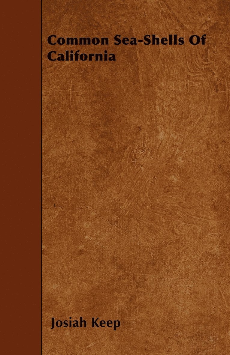 Common Sea-Shells Of California 1
