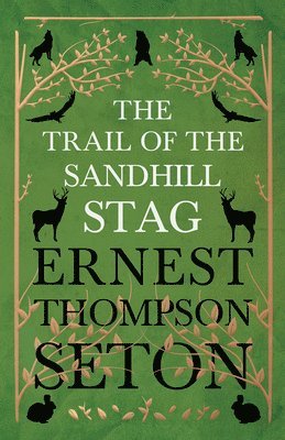 The Trail Of The Sandhill Stag - And 60 Drawings 1