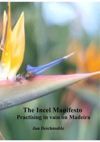 bokomslag Incel Manifesto