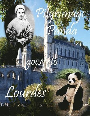 Pilgrimage Panda goes to Lourdes 1