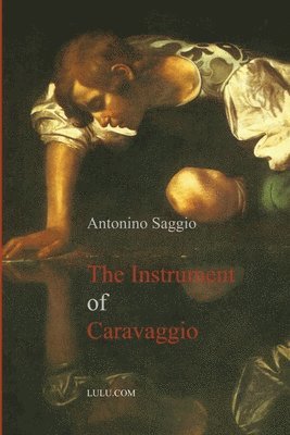 bokomslag The Instrument of Caravaggio