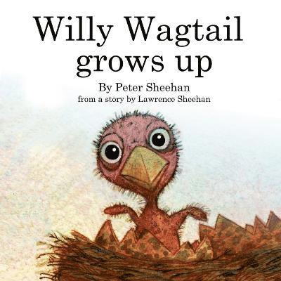Peter Sheehan - Willy Wagtail Grows Up, Häftad