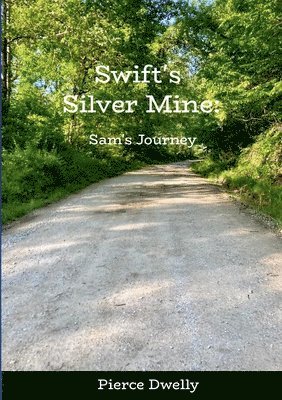 bokomslag Swift's Silver Mine