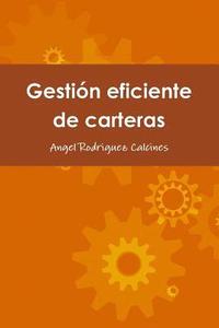 bokomslag Gestión eficiente de carteras
