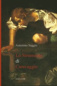 bokomslag Lo Strumento Di Caravaggio