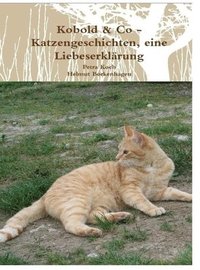 bokomslag Kobold & Co - Katzengeschichten, eine Liebeserklärung