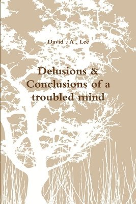 David . A . Lee, David A. Lee - Delusions & Conclusions of a Troubled Mind, Häftad