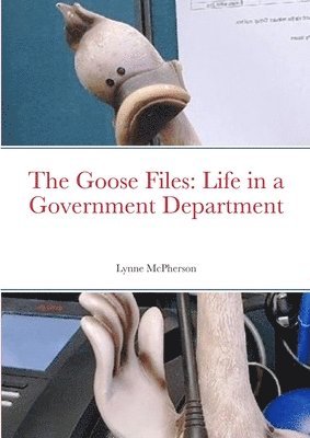The Goose Files 1