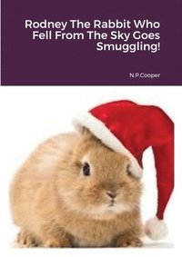 bokomslag Rodney The Rabbit Who Fell From The Sky Goes Smuggling!