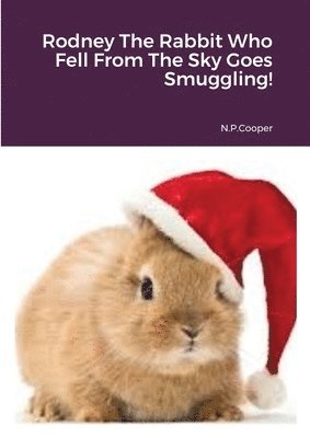 bokomslag Rodney The Rabbit Who Fell From The Sky Goes Smuggling!