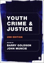 bokomslag Youth Crime and Justice