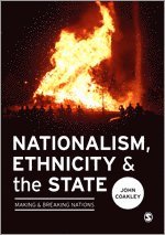 bokomslag Nationalism, Ethnicity and the State