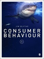 Jim Blythe - Consumer Behaviour, Inbunden