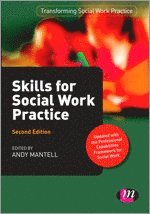 bokomslag Skills for Social Work Practice