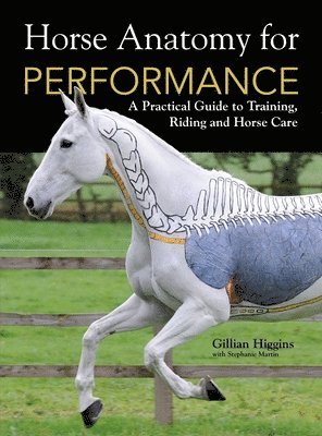 Gillian Higgins, Stephanie Martin - Horse Anatomy for Performance, Inbunden
