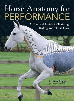 Gillian Higgins, Stephanie Martin - Horse Anatomy for Performance, Inbunden
