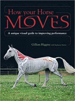 Gillian Higgins, Stephanie Martin - How Your Horse Moves, Häftad