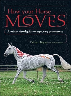 How Your Horse Moves 1