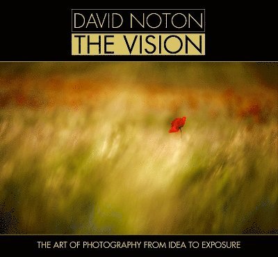 David Noton, David (Author) Noton - David Noton the Vision, Inbunden